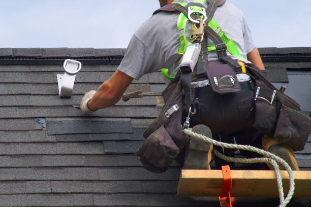 Professional Roofing Contractor in Tinley Park, IL